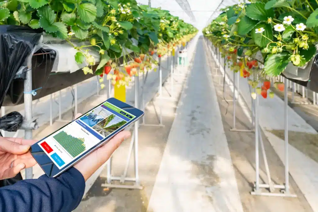 The Power of digital farming technology